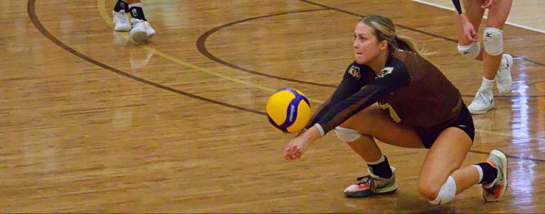 Bisons fall short in championship bid