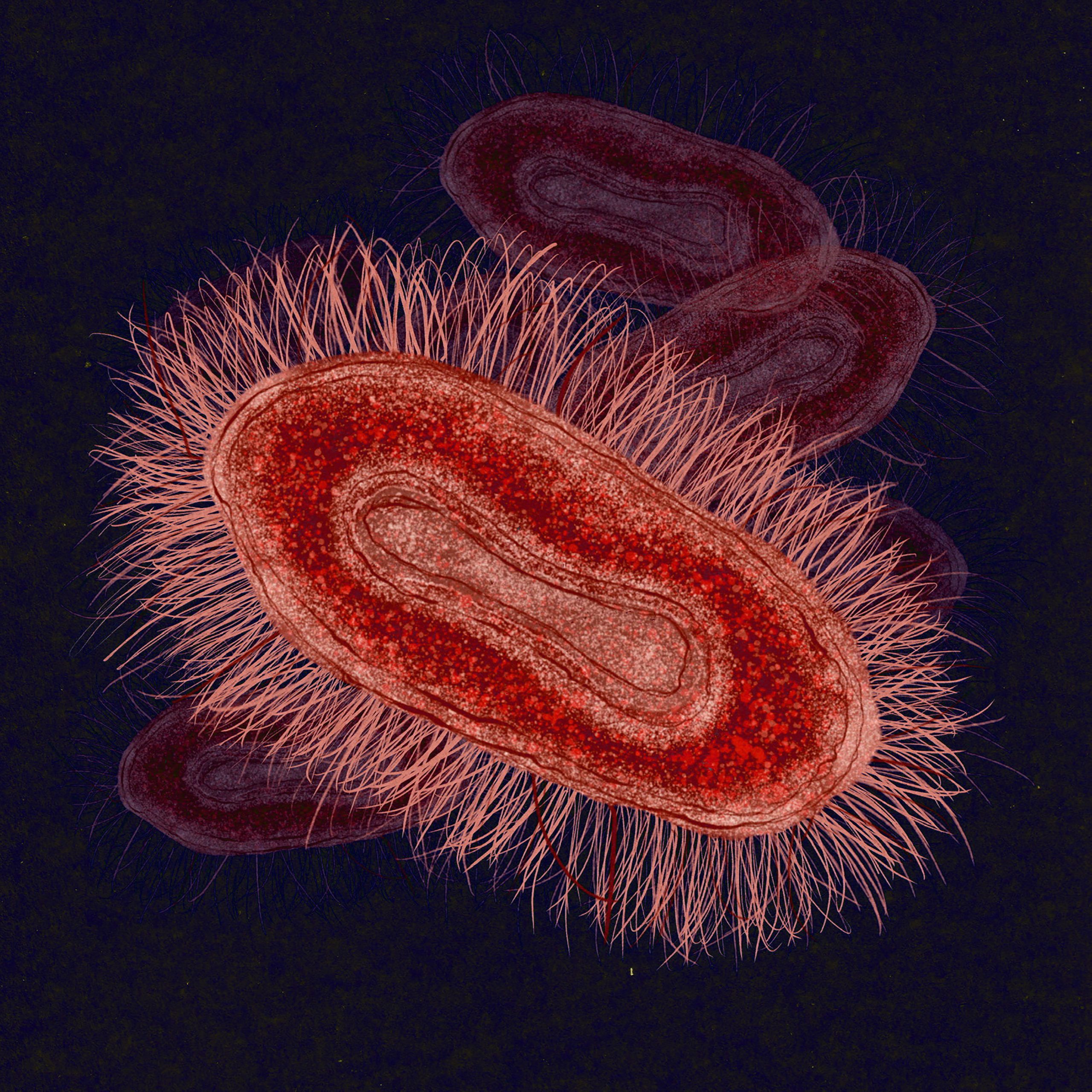 UPDATED_R&T_Monkeypox_Graphic_Chicoine_2022-08-24