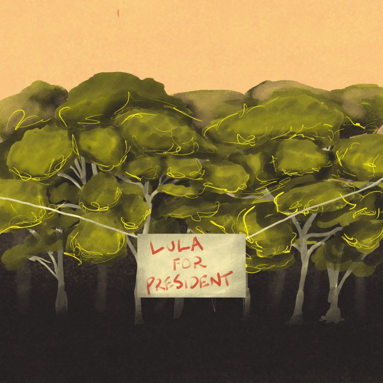 Brazil elects Lula to stay green