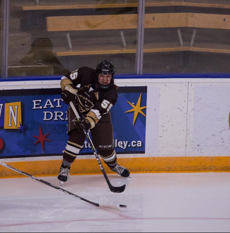 Bisons split series with Spartans