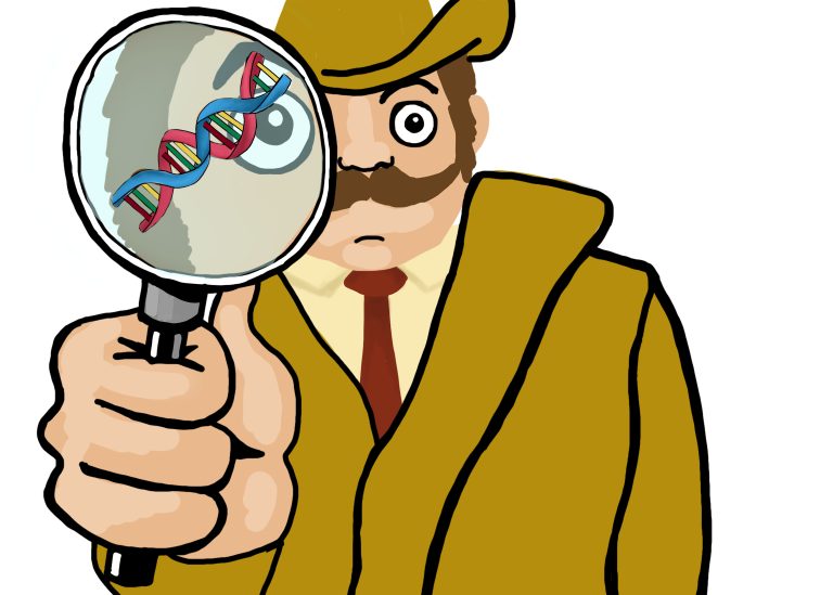 Using the loopholes in our DNA
