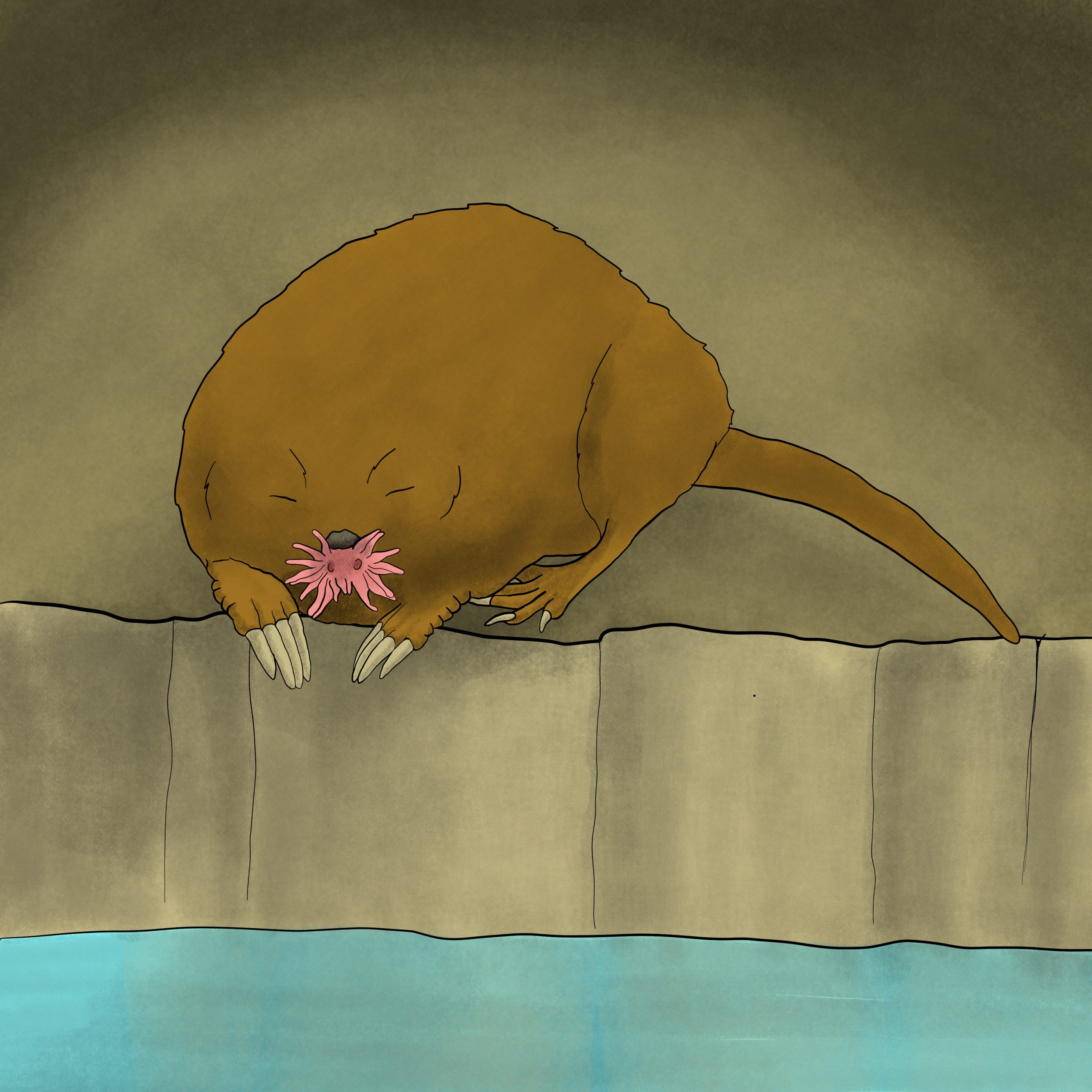 RT_Mammals_Graphic_Chicoine_2023-03-22