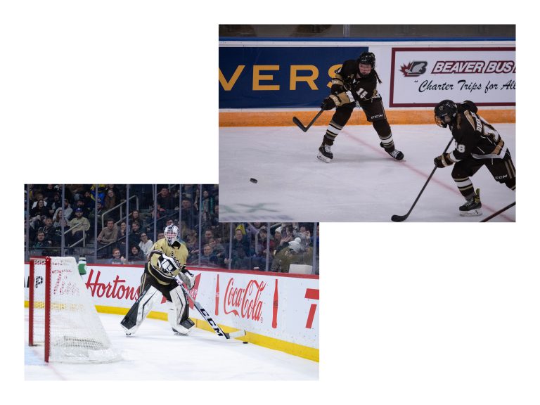 Hockey season preview