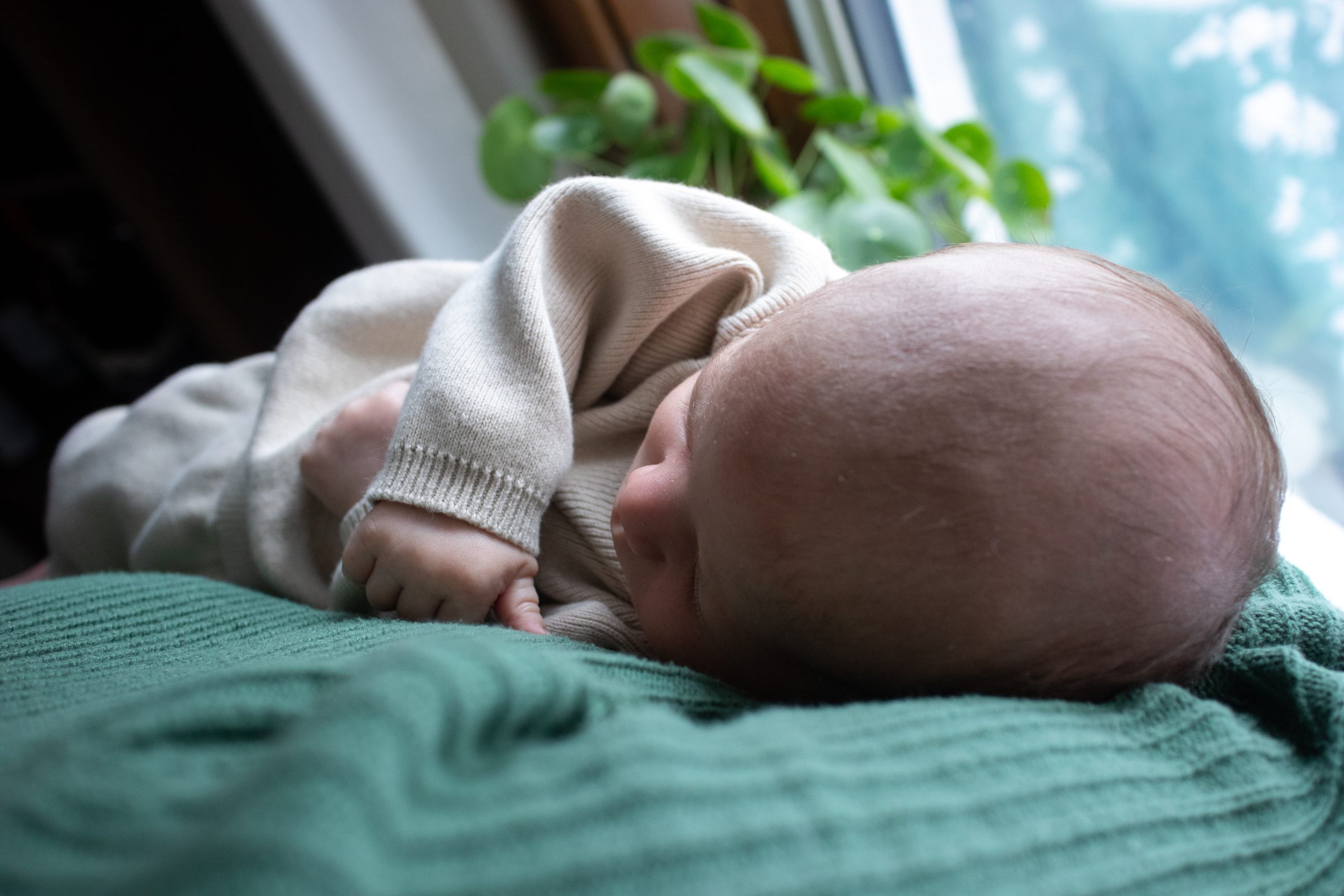 NEWS_Baby_Merkel_19Nov2023