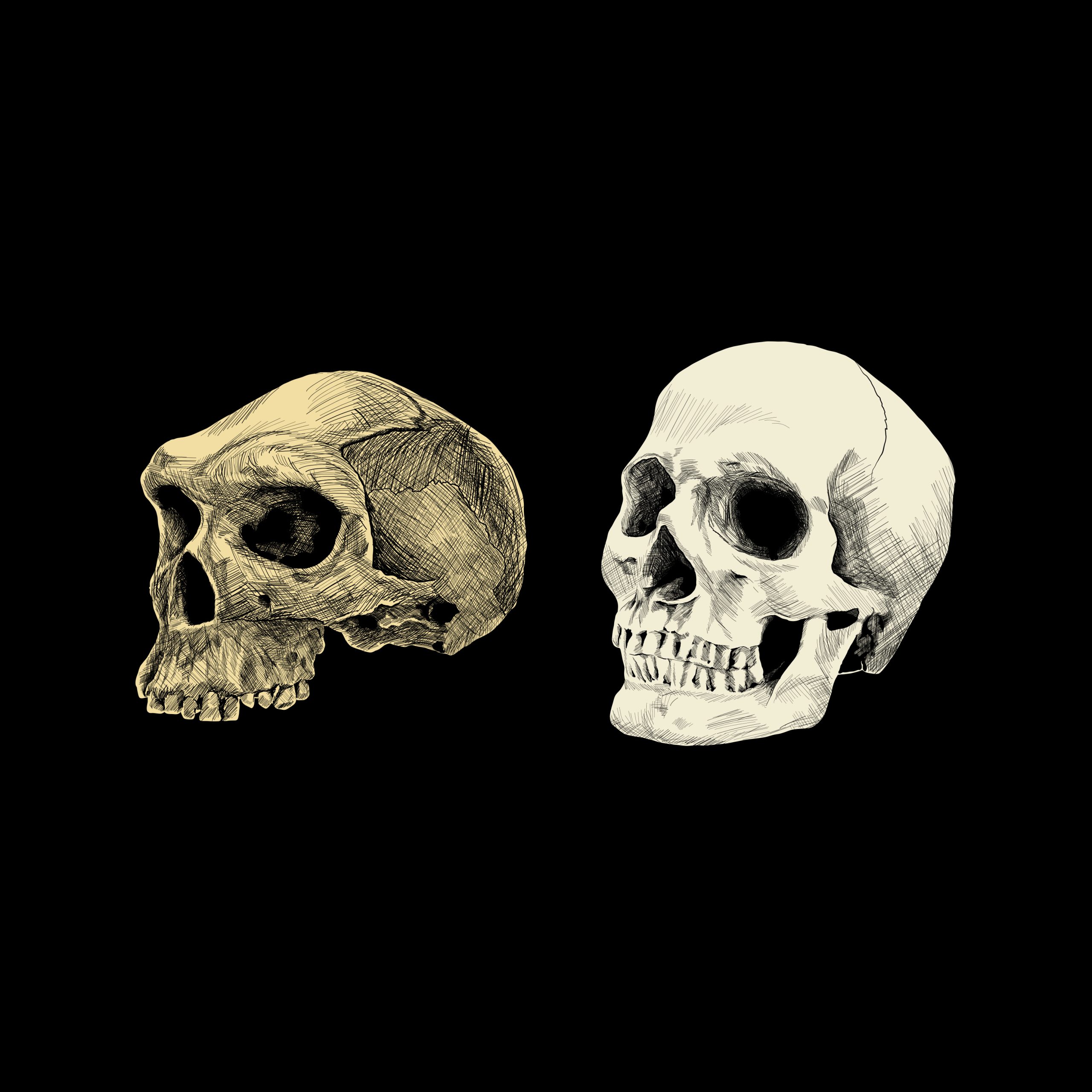 RT_Bioarchaeology_Graphic_Chicoine_2023-11-08