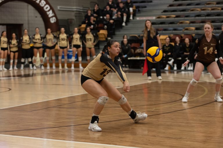 Bisons volleyball clashes with powerhouse Spartans