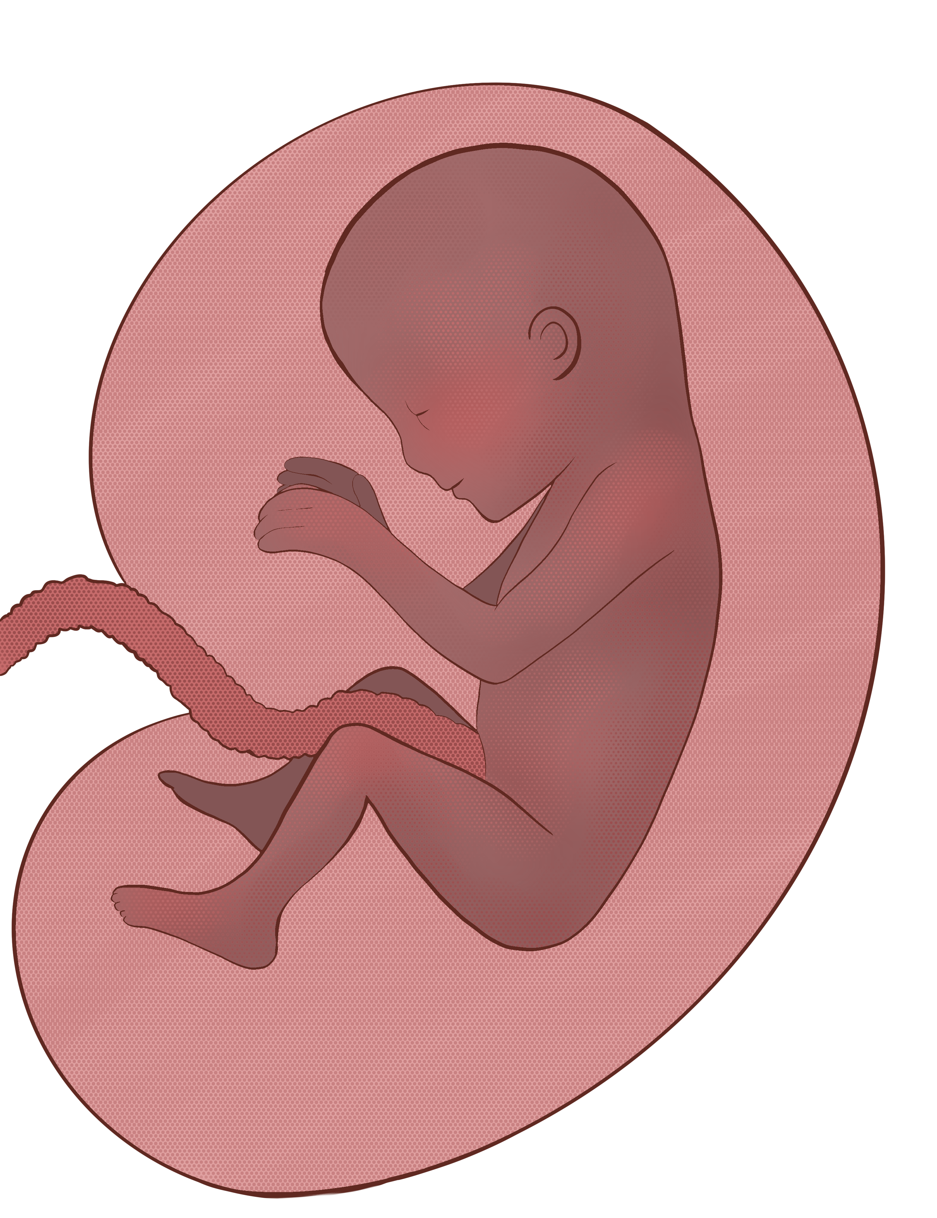 RT_CelluarBio_Gillich_24_03_06