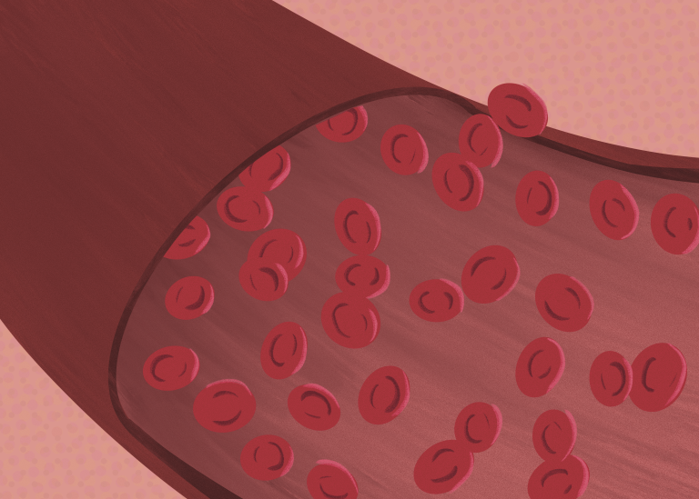 Understanding blood stem cells