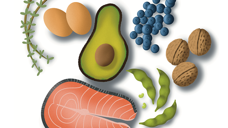 Breaking down nutrition