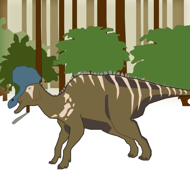 Diving into paleontology