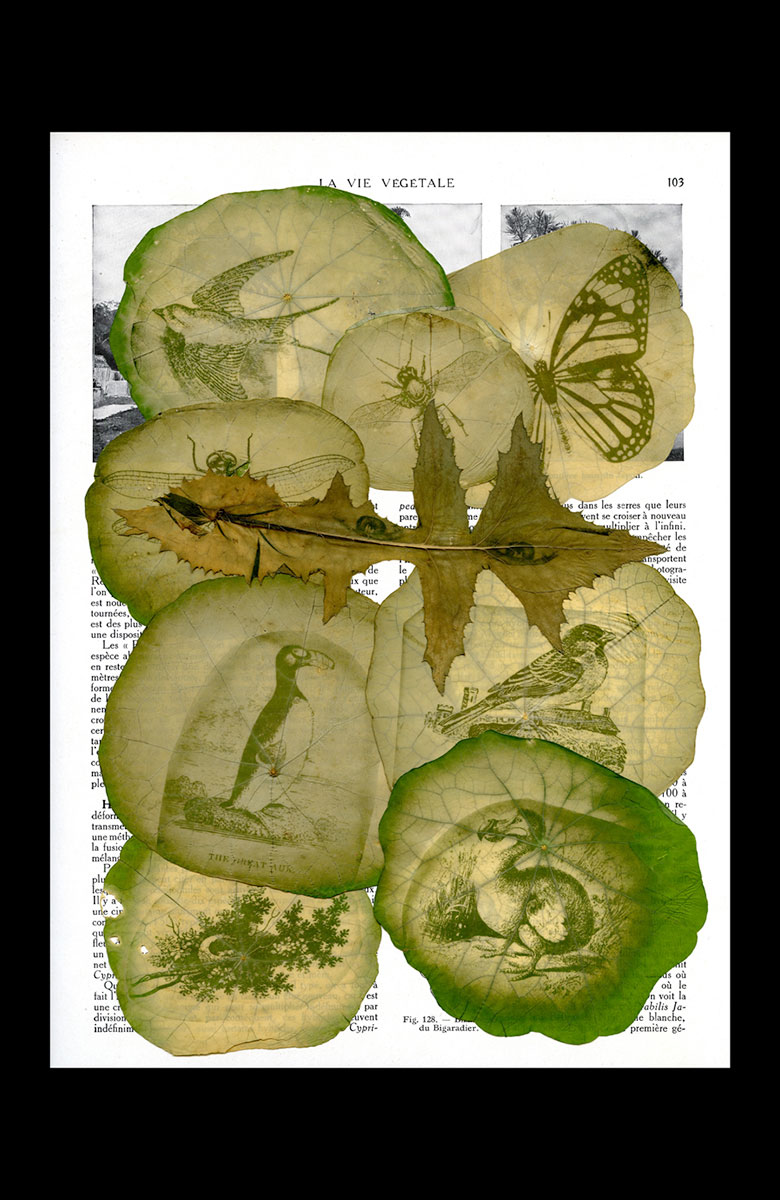 The art, science and magic of pinhole photography The Manitoban