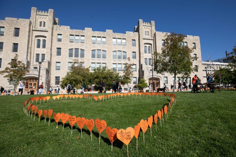 Temporary heart garden decorates Buller greenspace