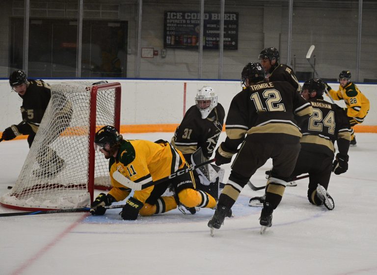 Bisons men’s hockey defeat Regina Cougars 6-3
