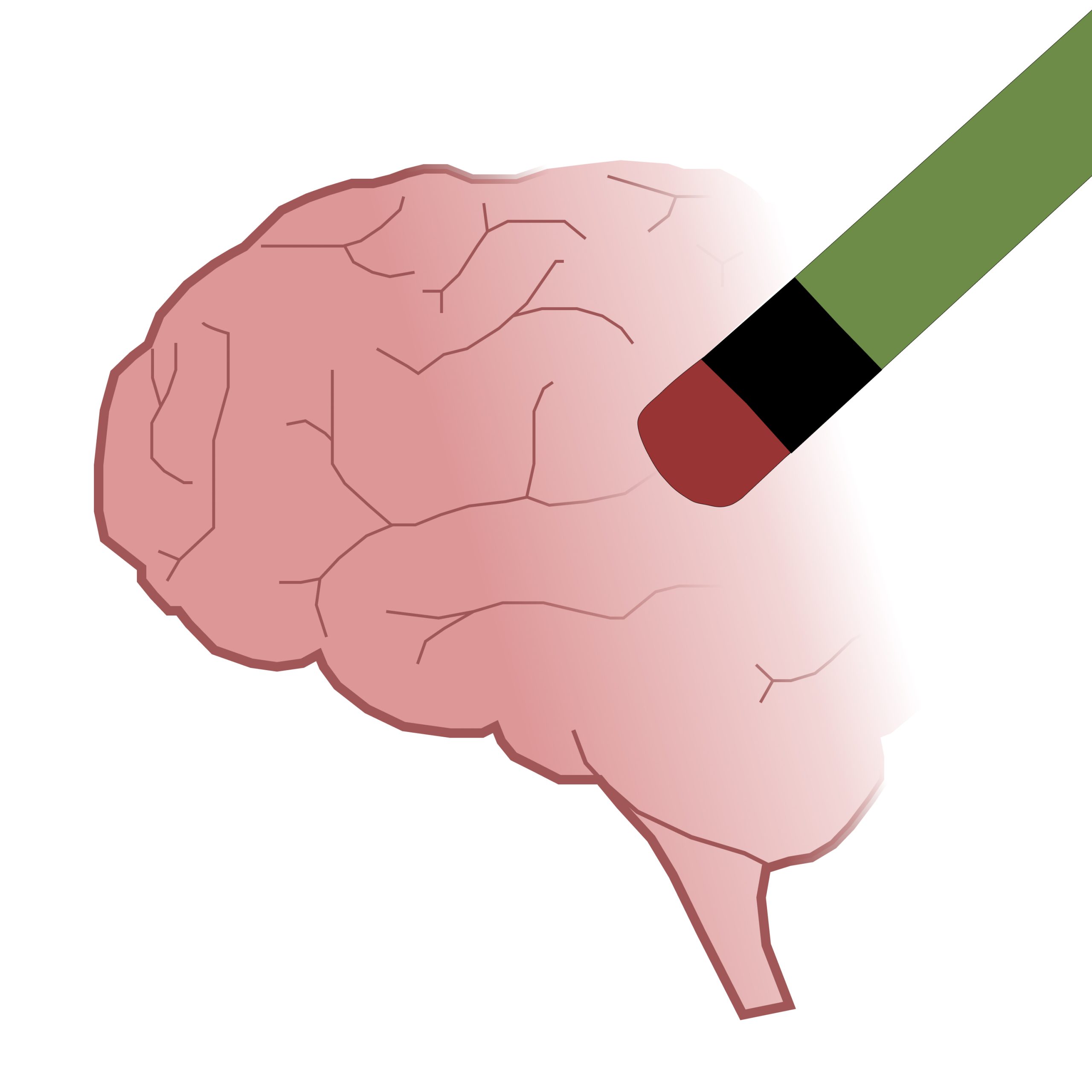 RT_Alzheimers_Ifeadi_2024_11_20