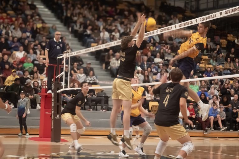 Bisons narrowly defeat the Brandon Bobcats