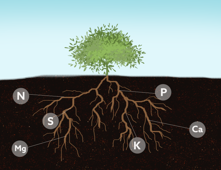 Improving soil health for sustainable agriculture