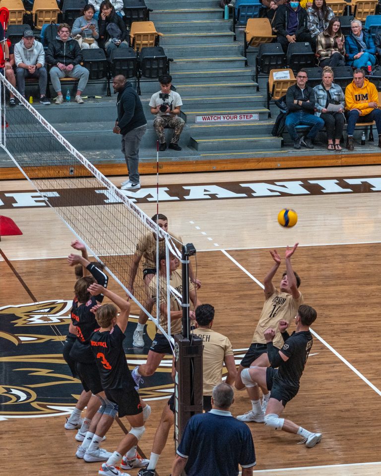 Recap of the Bisons volleyball 2024-25 season to date