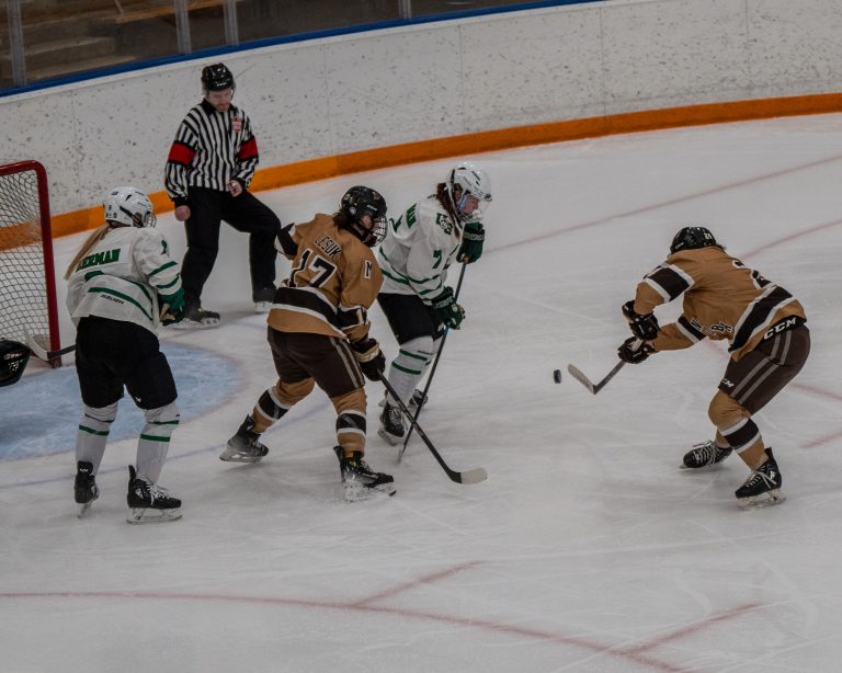 Bisons fail to tame Huskies
