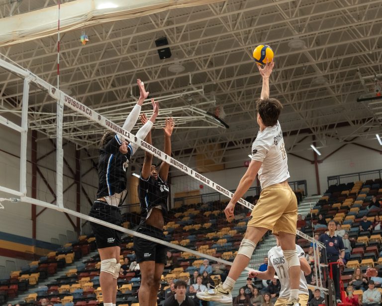 Bisons achieve victories in back-to-back matches