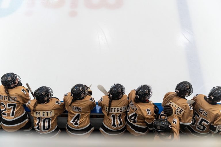 Bisons split the weekend against the Cougars