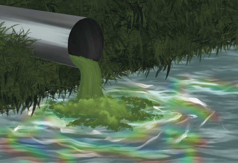 How ecotoxicology protects our water from pollutants