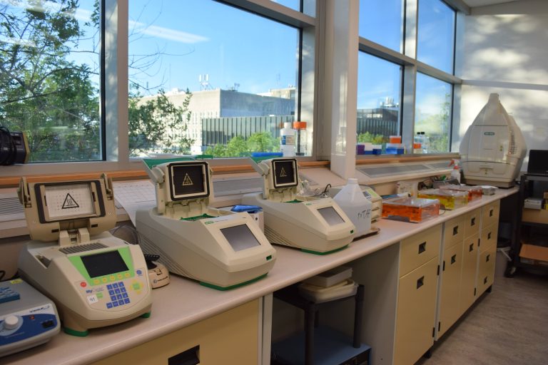 Researchers call for restored provincial funding levels