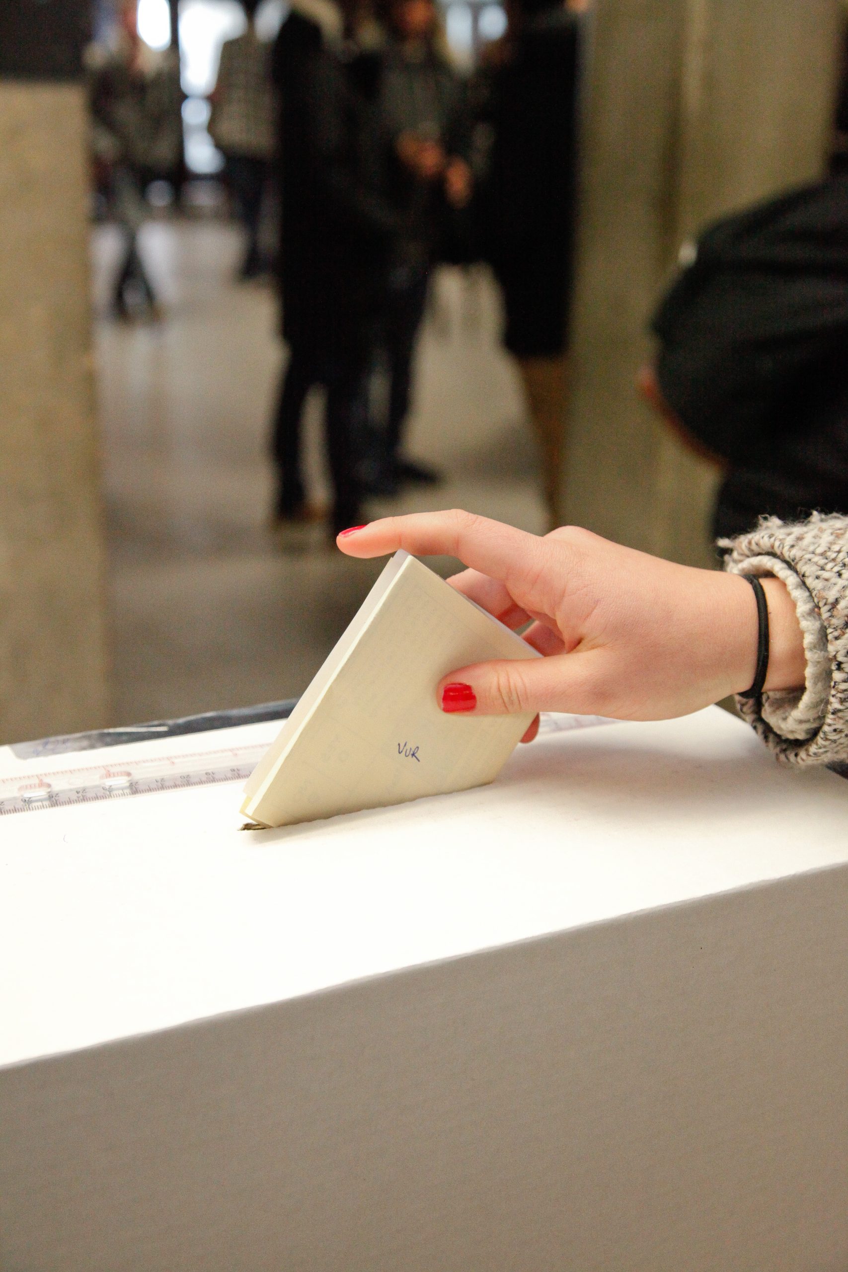 Election-voting-Photo-by-BEIBEI-LU-5