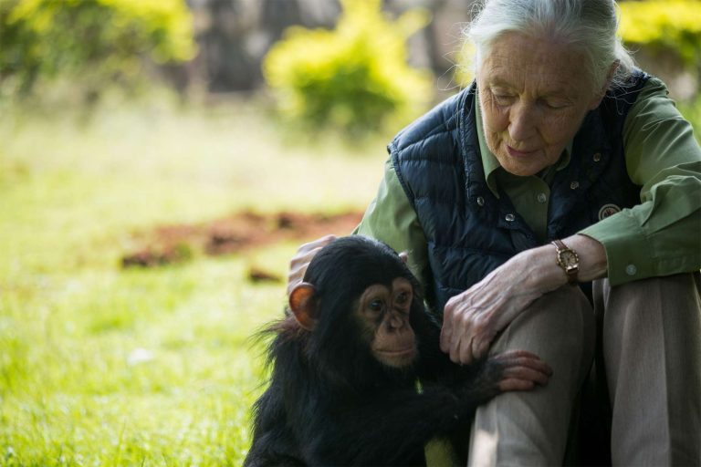 Netflix reveals Jane Goodall’s last message to the world