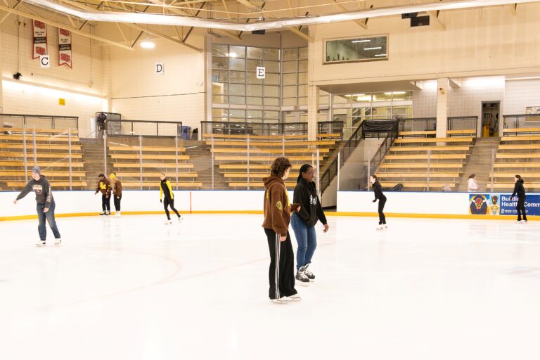 Sport activism on ice