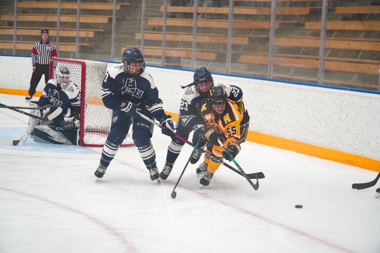 Cougars come back from 2-1 loss, beat Bisons 4-2