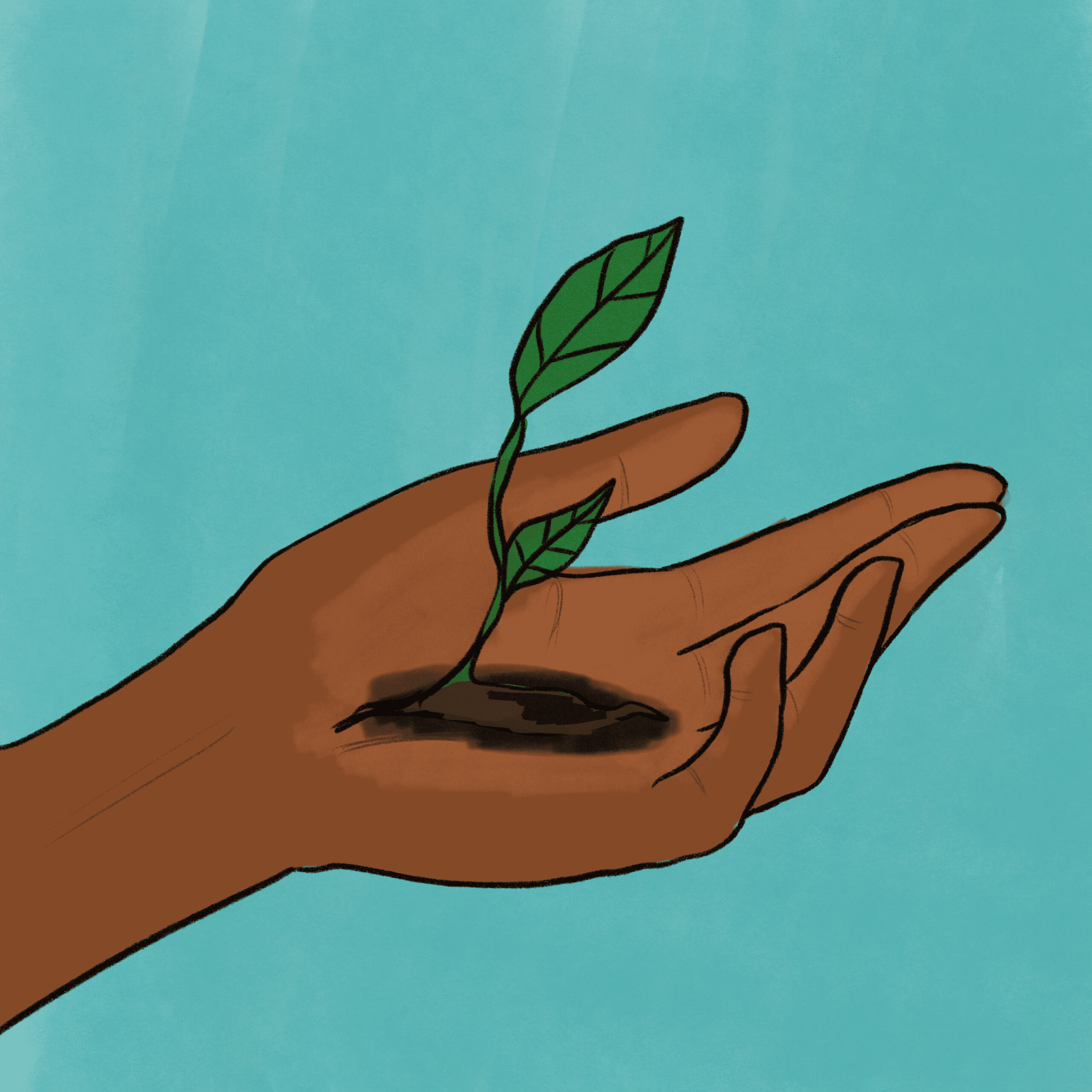 RT_IndigenousStorytelling_Graphic_EmmaGillich_December10_2025