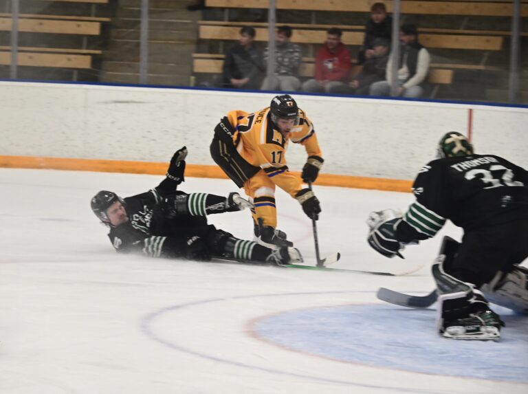 Bisons fall short against Saskatchewan Huskies