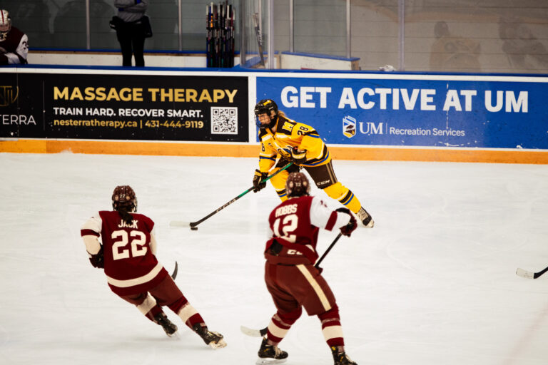 Bisons battle back for series split
