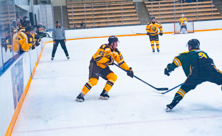 Dominant performance followed by tough loss for Bisons