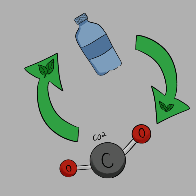 Turning waste into opportunity