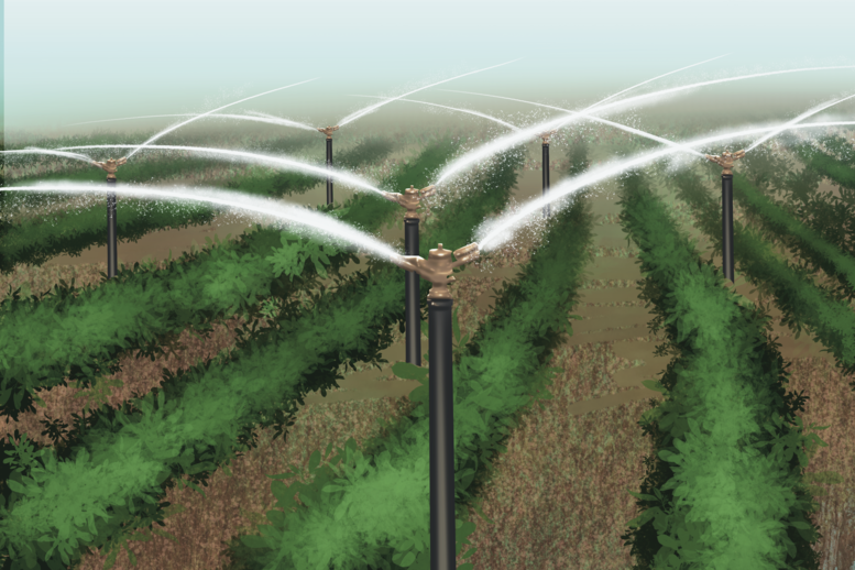 RT_WaterManagement_Graphic_TeeganGillich_February4_2026 (2)
