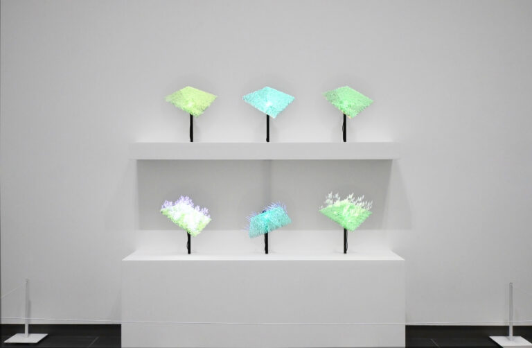 we tend to care opens in Winnipeg galleries