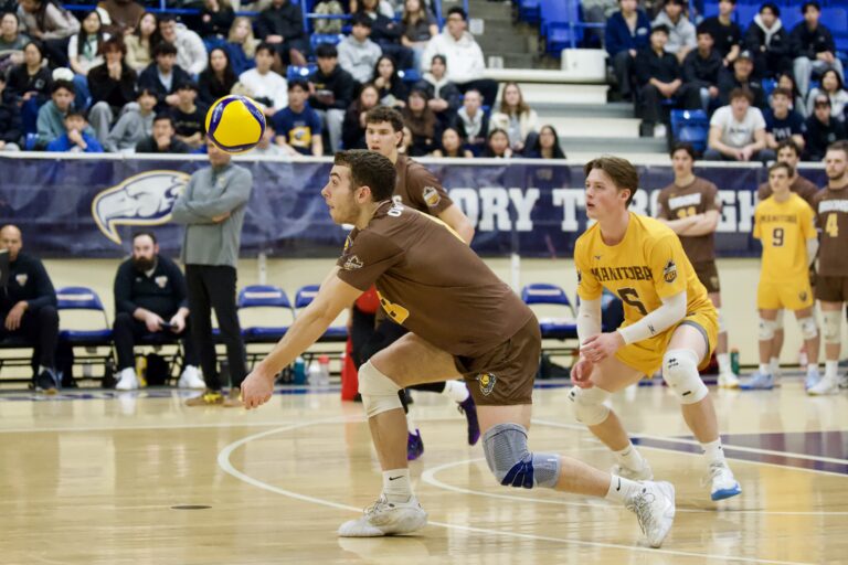 Despite semifinal sweep, Bisons lose conference final