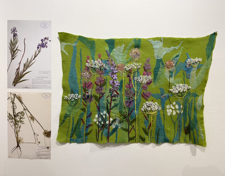 From the herbarium to the gallery