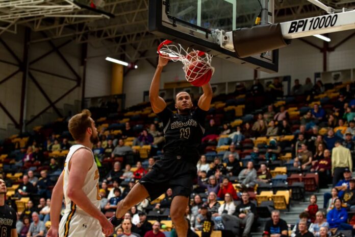 O'Hara_Bisons_01 (1)