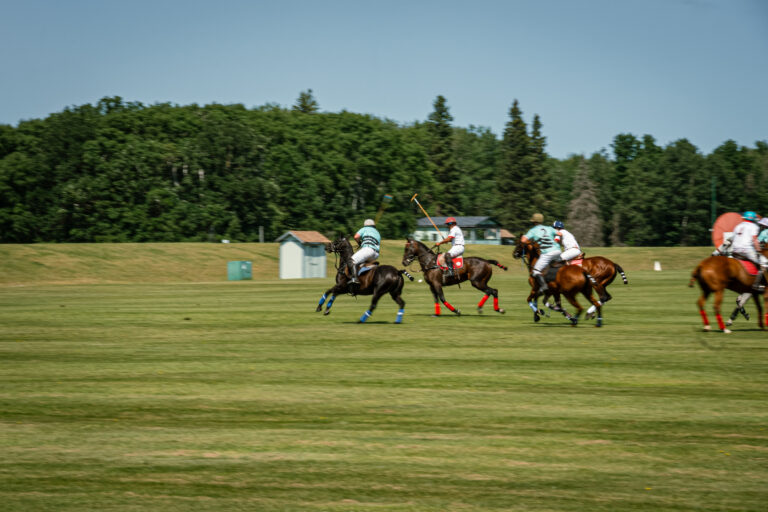 Polo, a sport to die for